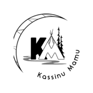 Logo École secondaire Kassimu Mamu Option 1_K